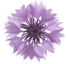 massagepraxis aus der seele co72